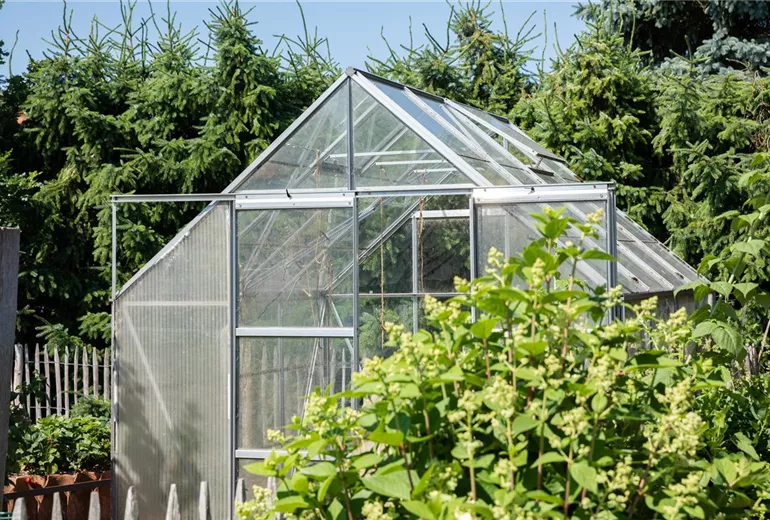 Gewächshaus Baumarkt