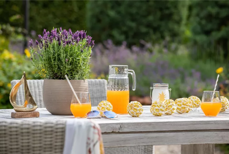 Sommerliche Tischdekoration Sommerliche Tischdekoration