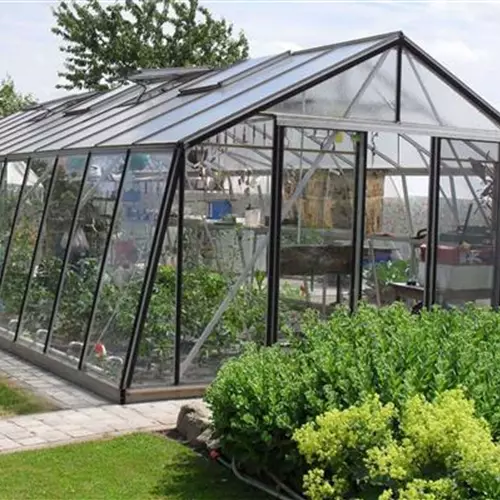 Warum Luftfeuchte im Gewächshaus oft unterschätzt wird!