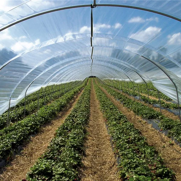 Folientunnel <6 m> - Römi® Profiline Folientunnel <6 m> - Römi® Profiline
