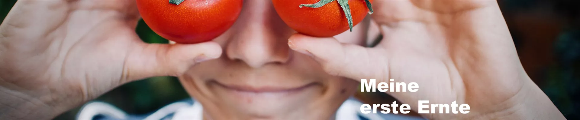 GEWÄCHSHAUS, Kind, Tomaten GEWÄCHSHAUS, Kind, Tomaten