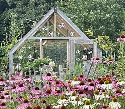 Holz-Gewächshaus klein Emilia - mit 4 mm Sicherheitsglas Holz-Gewächshaus klein Emilia - mit 4 mm Sicherheitsglas