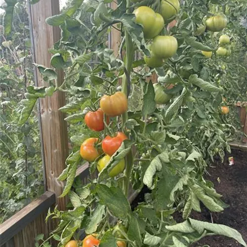 Du bist was Du isst: