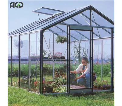 Aktions-Gewächshaus R305 ALU