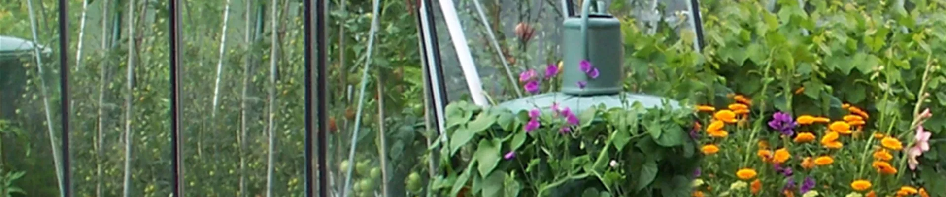 Gewächshaus im Gemüsegarten