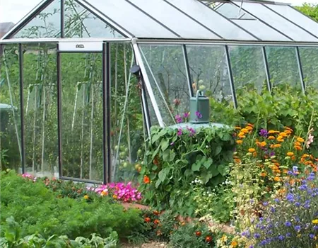 Ein Gewächshaus anlegen