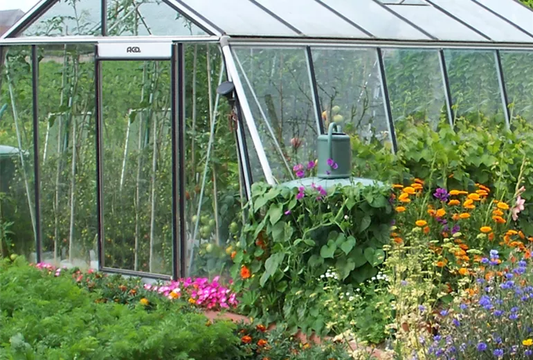 Gewächshaus im Gemüsegarten