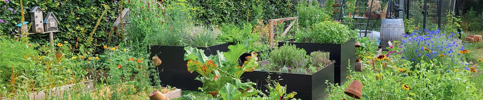 download_6630 download_6630