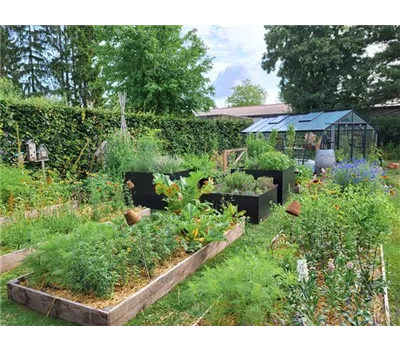 Oh wie schön ist Panama! Oh wie schön ist Panama!