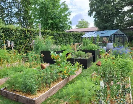 Oh wie schön ist Panama!