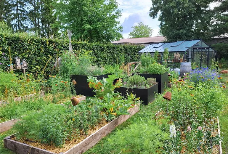 download_6630.jpg download_6630.jpg