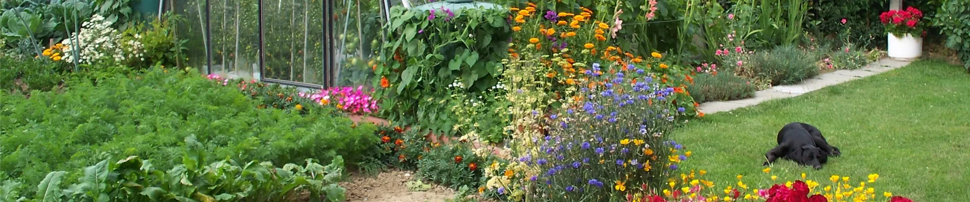 download_6728 download_6728