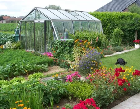 Fragen an den Gewächshausversteher: