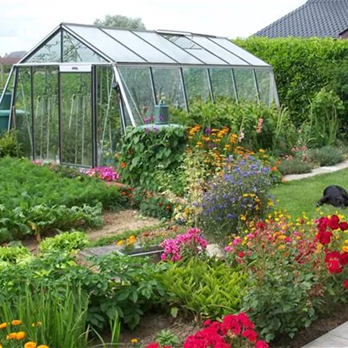 Fragen an den Gewächshausversteher: