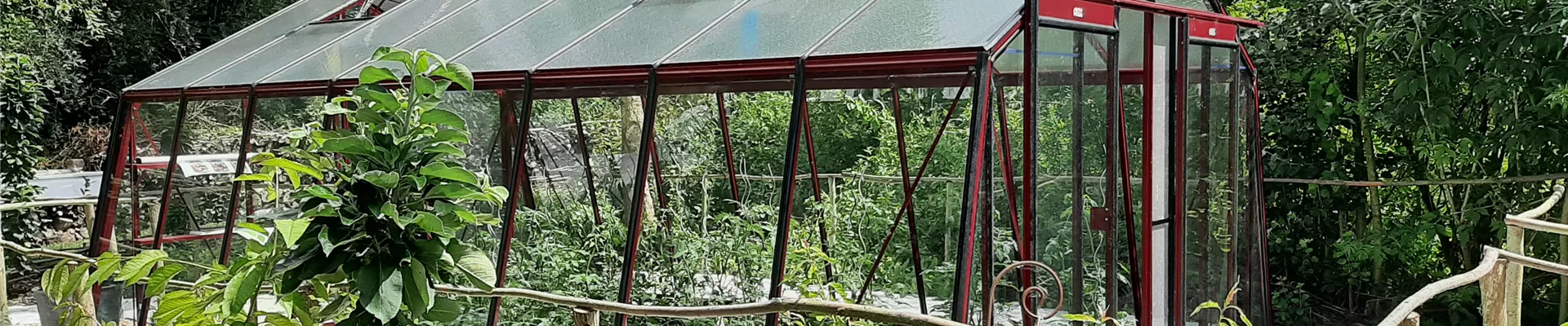 download_6771 download_6771