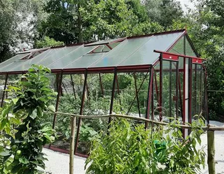 Fragen an den Spezialisten: