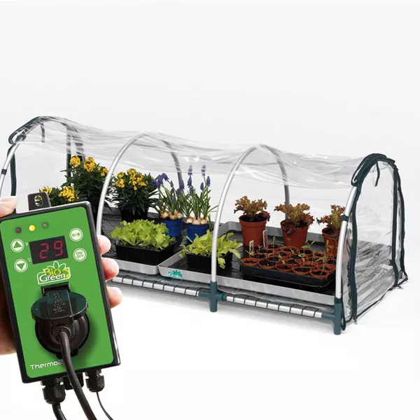 Beheiztes Anzuchtgewächshaus Beheiztes Anzuchtgewächshaus