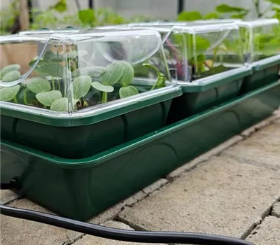 Beheizte Anzuchtstation