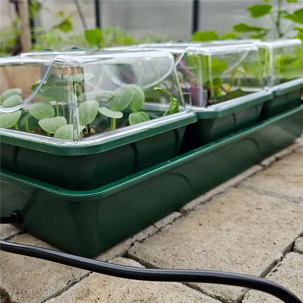 Beheizte Anzuchtstation Beheizte Anzuchtstation