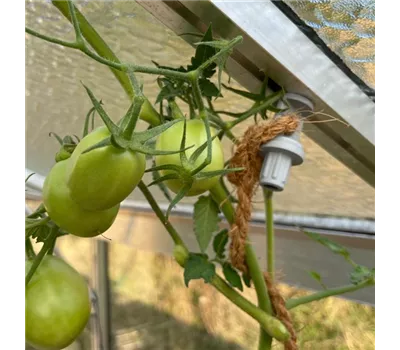 Folienhalter und Pflanzenhalter DUO