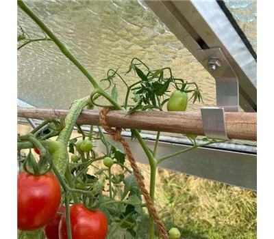 Stabhalter (ALU) - Pflanzenhalter Stabhalter (ALU) - Pflanzenhalter