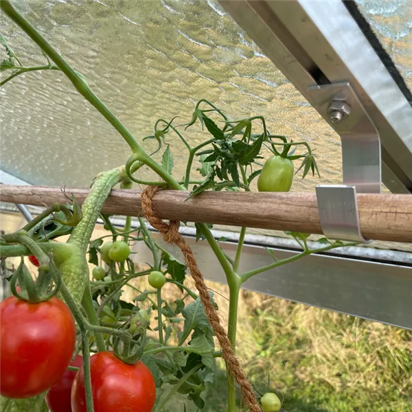 Stabhalter (ALU) - Pflanzenhalter Stabhalter (ALU) - Pflanzenhalter