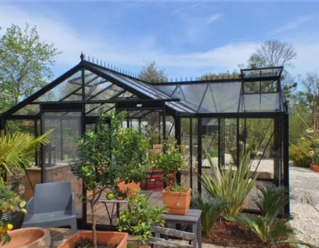 Kübelpflanzen im Gewächshaus überwintern