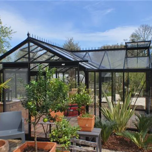 Kübelpflanzen im Gewächshaus überwintern