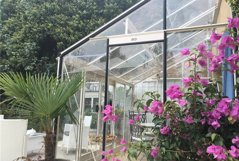 anlehngewaechshaus-kuebelpflanzen.JPG anlehngewaechshaus-kuebelpflanzen.JPG