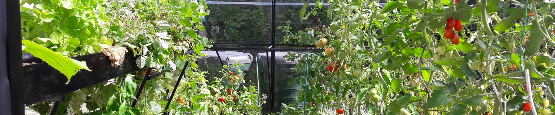 download_6856 download_6856