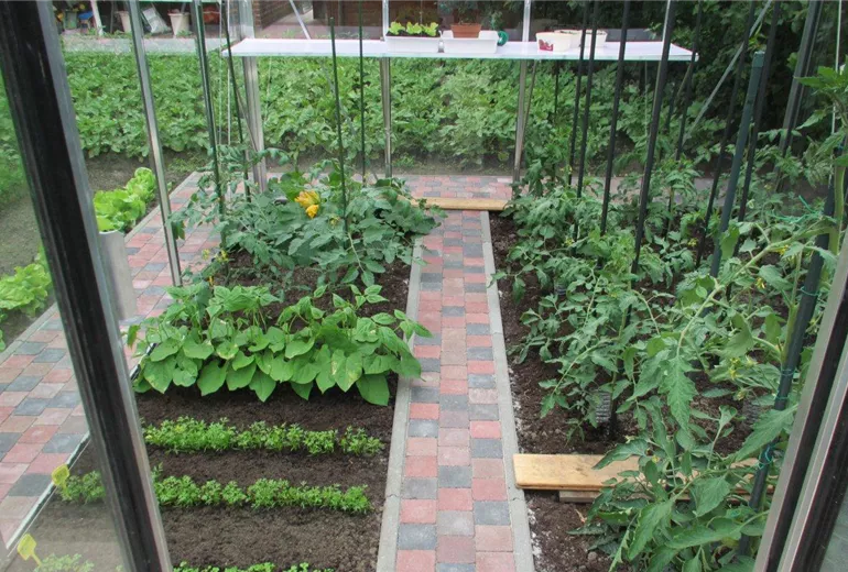 download_6856_2.jpg download_6856_2.jpg