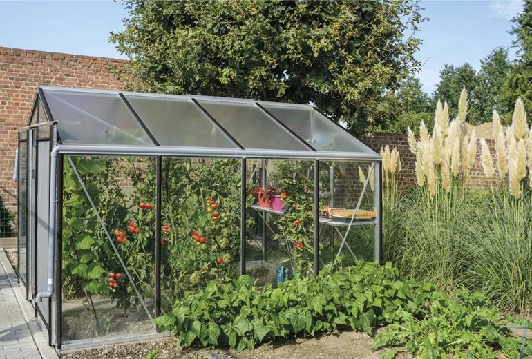 download_6856_3.jpg download_6856_3.jpg