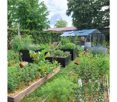 Früh anfangen - spät aufhören Früh anfangen - spät aufhören