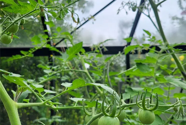 download_6893_1.jpg download_6893_1.jpg