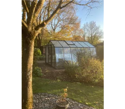 Gewächshaus im Spätherbst Gewächshaus im Spätherbst