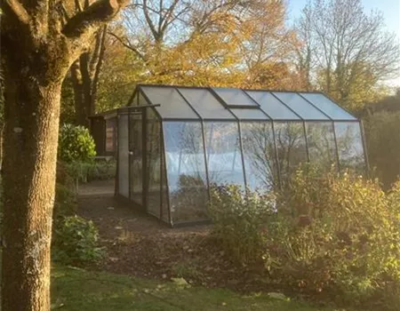 Gewächshaus im Spätherbst