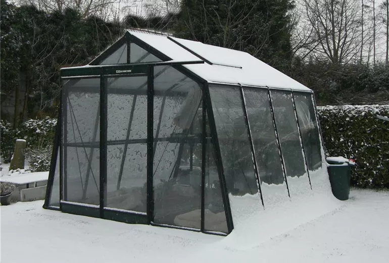 Winterhartes Gemüse im Gewächshaus Winterhartes Gemüse im Gewächshaus