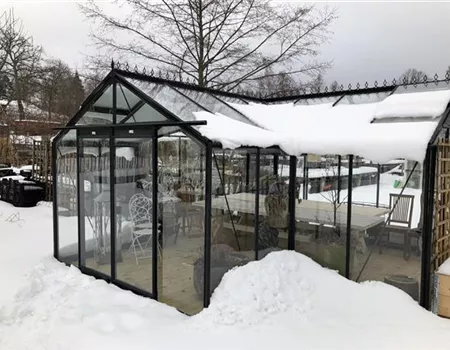 Winter im Gewächshaus