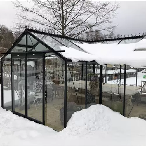 Winter im Gewächshaus