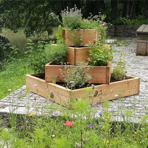 Pflanzenpyramide Pflanzenpyramide