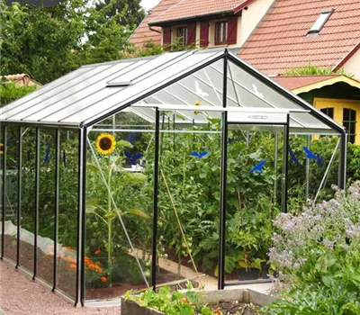 Das Gewächshaus 1x1: Das Gewächshaus 1x1: