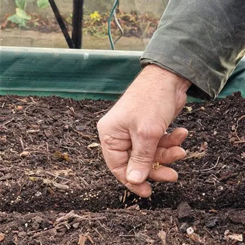Von der Saat zum Salat