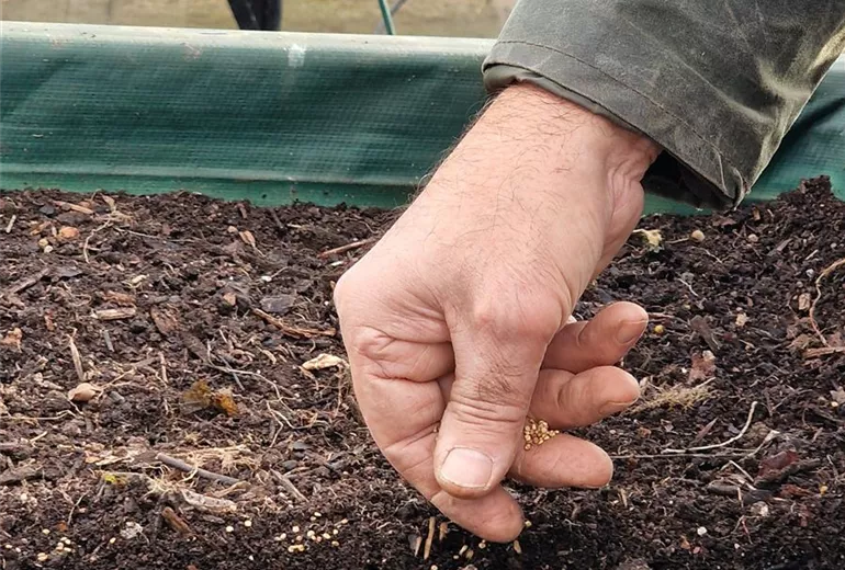 download_7022_1.jpg download_7022_1.jpg