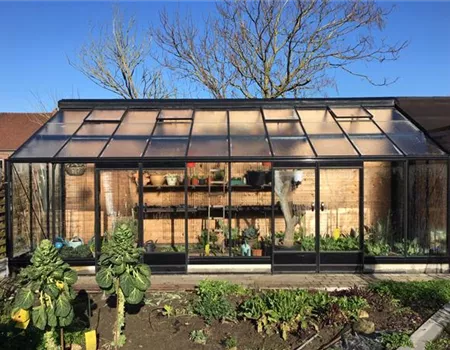 Anlehngewächshäuser