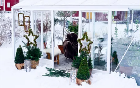 tropic_im_winter.jpg