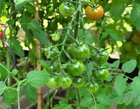 Alles außer gewöhnlich