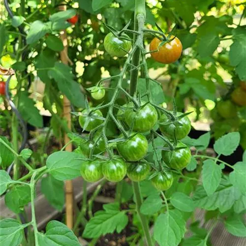 Alles außer gewöhnlich