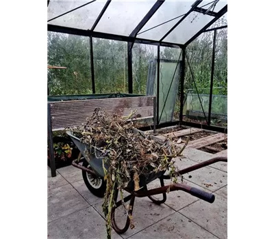 Profi-Tipps zur Reinigung und Bodenverbesserung