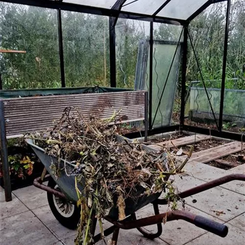 Profi-Tipps zur Reinigung und Bodenverbesserung